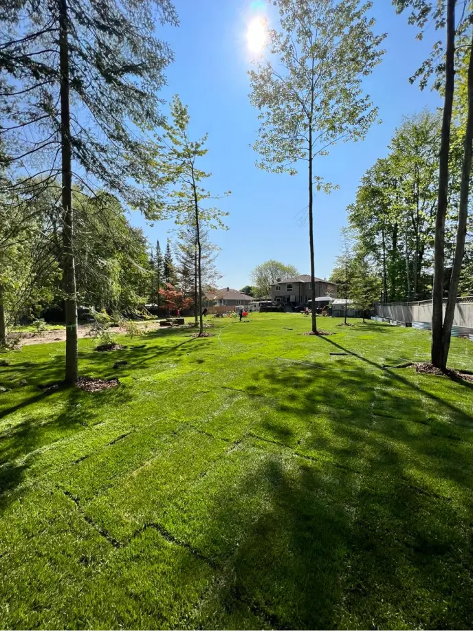 Perfect Yard Landscape project 17 — Toronto GTA
