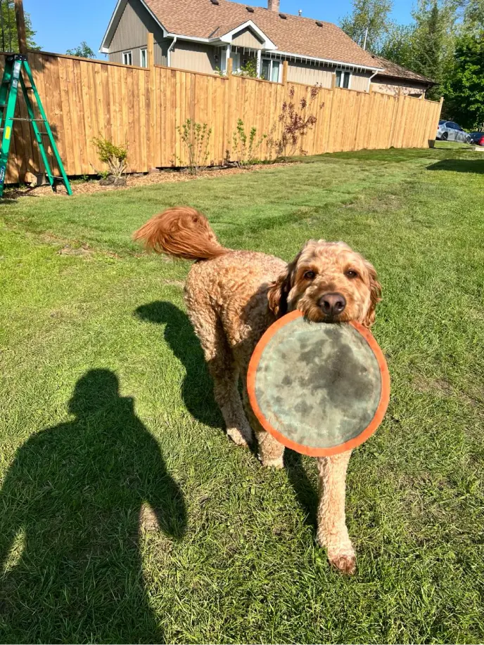 Perfect Yard Landscape project 18 — Toronto GTA