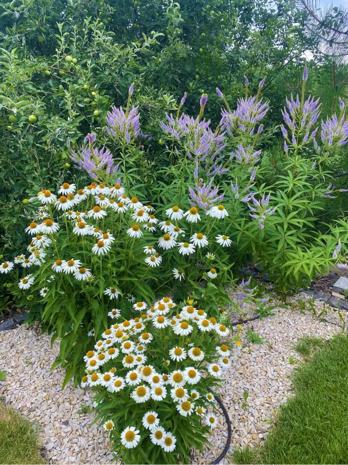 Perfect Yard Landscape project 24 — Toronto GTA