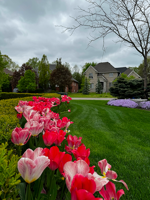 Perfect Yard Landscape project 111 — Toronto GTA